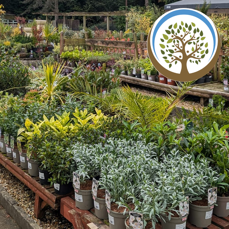 Birley Moor Garden Centre in Sheffield